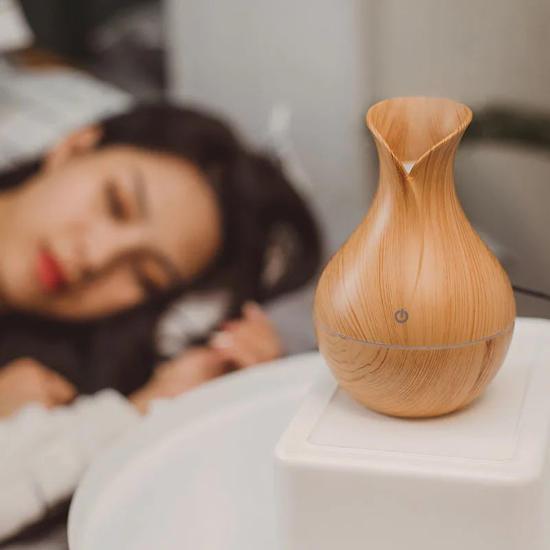 Portable USB Mist Humidifier